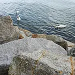 Kwatera Prywatna Oksywie Privatunterkunft