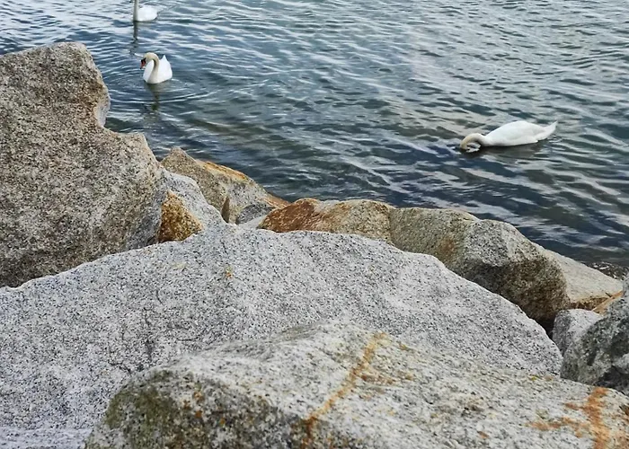 Kwatera Prywatna Oksywie Ubytování v soukromí